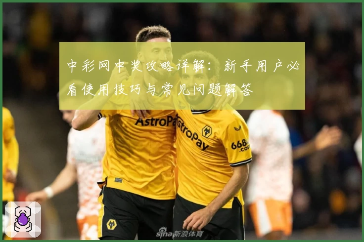 中彩网中奖攻略详解：新手用户必看使用技巧与常见问题解答