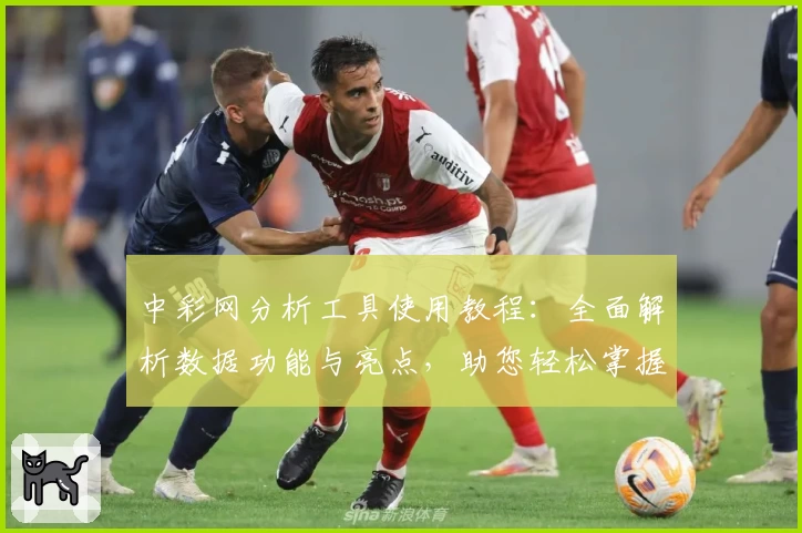 中彩网分析工具使用教程：全面解析数据功能与亮点，助您轻松掌握关键信息