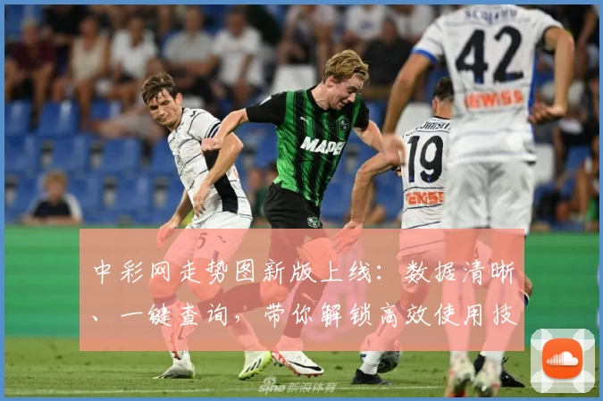 中彩网走势图新版上线：数据清晰、一键查询，带你解锁高效使用技巧