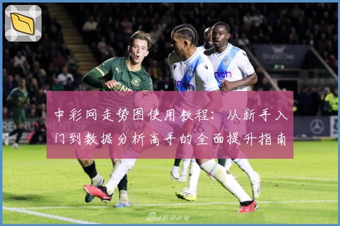 中彩网走势图使用教程：从新手入门到数据分析高手的全面提升指南