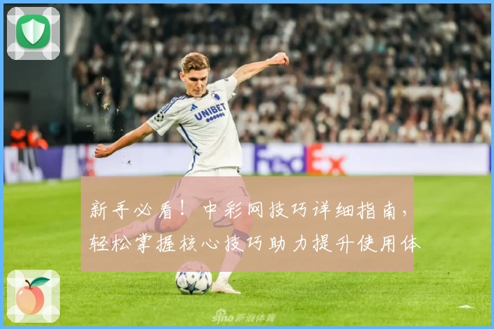 新手必看!中彩网技巧详细指南,轻松掌握核心技巧助力提升使用体验