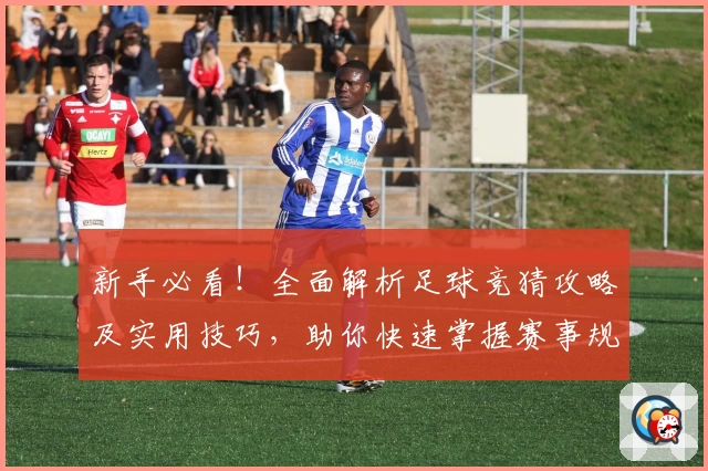 新手必看！全面解析足球竞猜攻略及实用技巧，助你快速掌握赛事规律